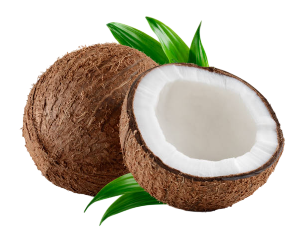 Coconuts/ ناریل