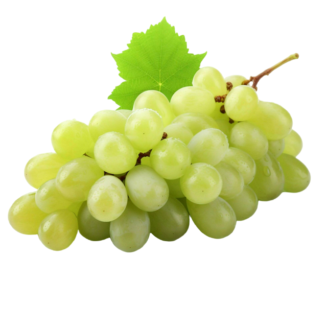 Grapes/ انگور