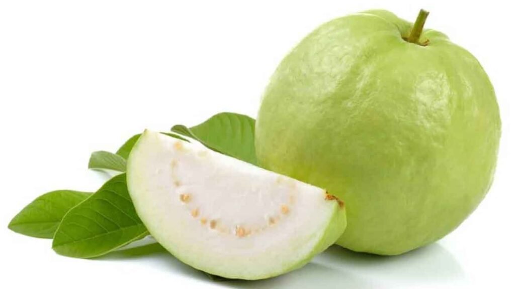 Guavas/ امرود